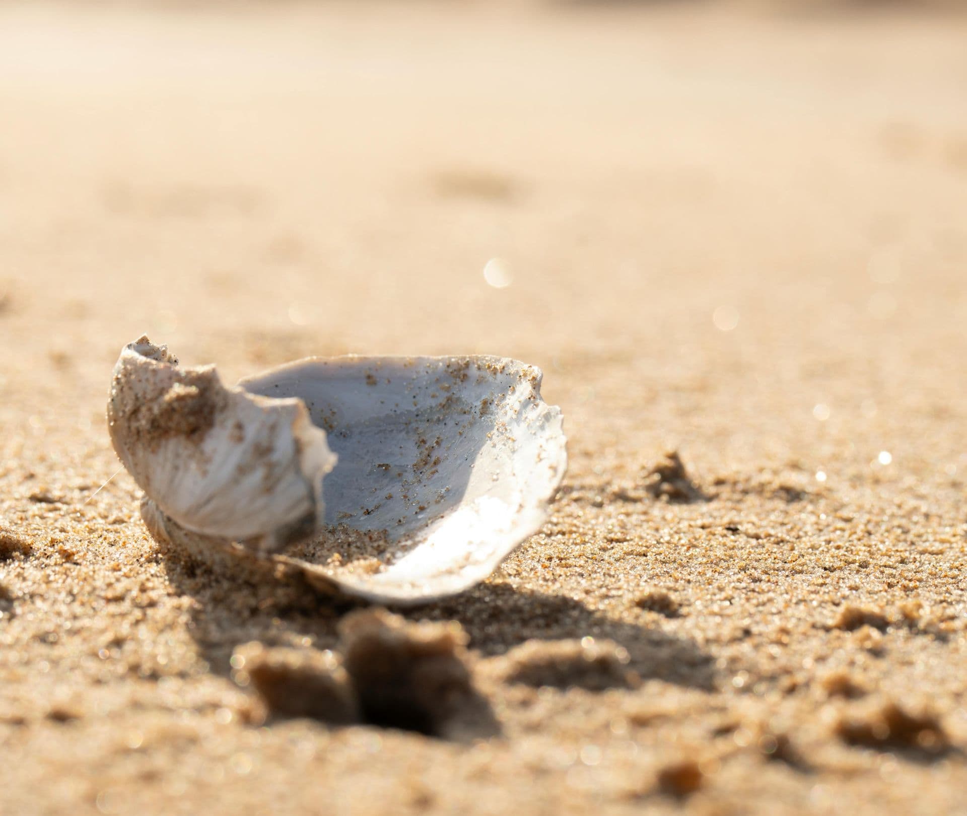 Zašto burnout izgleda drugačije kod uspešnih žena?